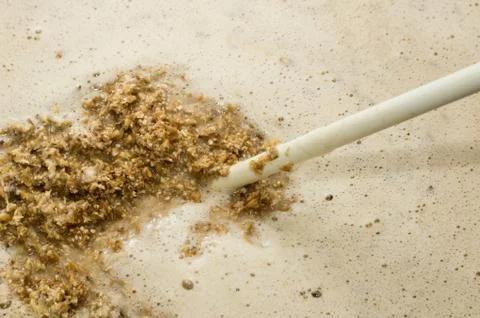 Ground malt on a spoon. Process of making home beer from malt. Craft beer fro Stock Photos