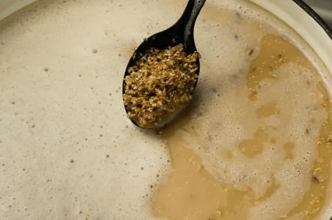 Ground malt on a spoon. Process of making home beer from malt. Craft beer fro Stock Photos