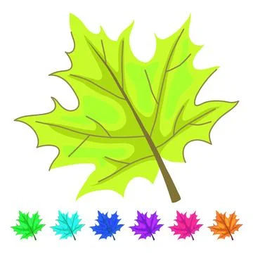 Ground maple leaf vector cartoon graphic Illustrazione stock