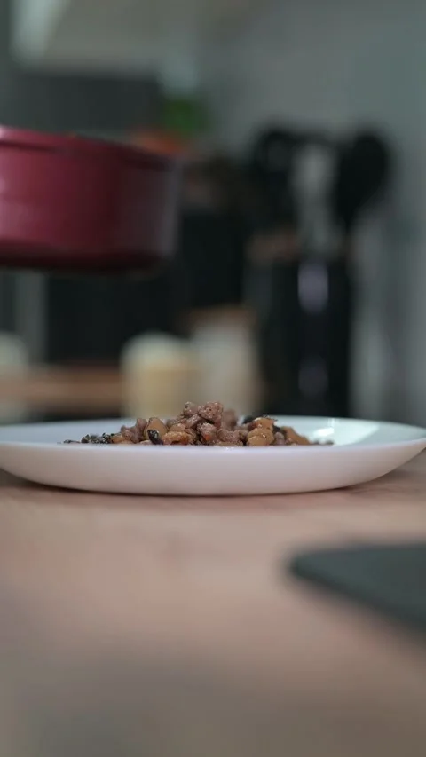 Ground meat is placed onto a plate from a pan in a kitchen. The activity focuses 스톡 동영상 337112321