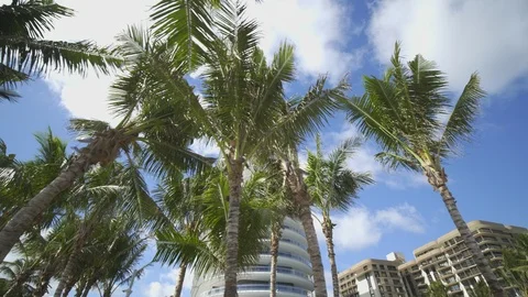 Ground motion video palm trees blue sky and miami beach condominiums Stock Footage 121941985