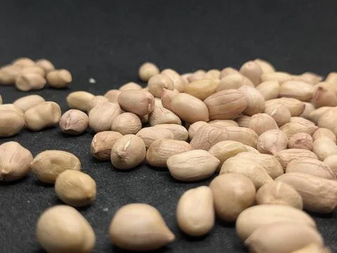 Ground Nut in Black Background. Stock Photos
