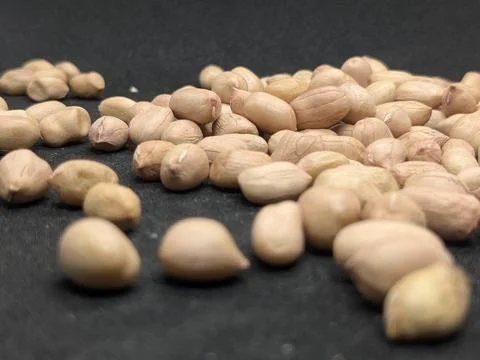 Ground Nut in Black Background. Stock Photos