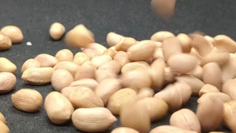 Ground Nut Falling Down in Black Background. Stock Footage 303747257