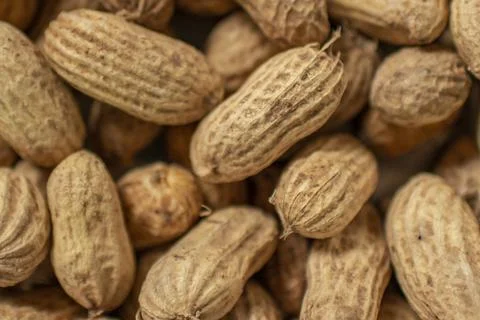 Ground nuts are also raw near. Stock Photos
