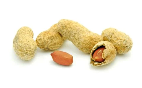 Ground nuts Stock Photos