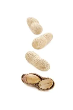 Ground nuts Stock Photos