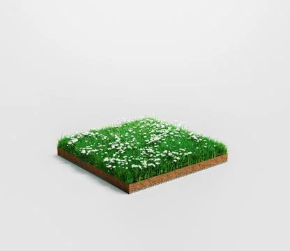 Ground or soil layers. Perspective empty space of green grass and flowers square Stock Illustration