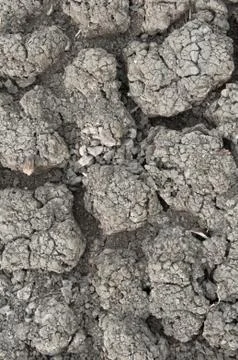 Ground parched by drought Stock Photos
