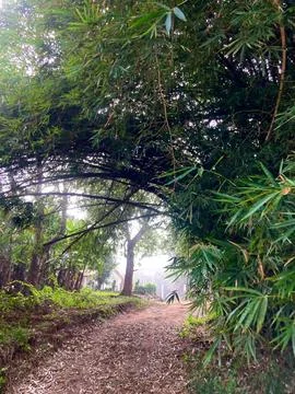 Ground path inside Fotos de archivo