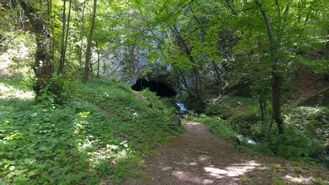 Ground path stretches along forest stream to cave in rock Video stock 101741141