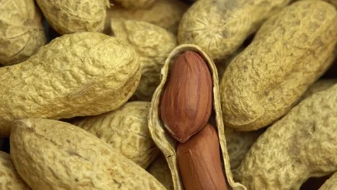 Ground peanuts rotate as background, peanuts in shells, ground nuts Stock Footage 166169560