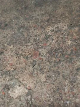 The ground Stock Photos