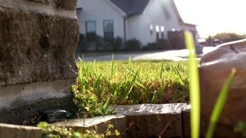 Ground POV between stone, rock, grass, in front yard of a home in suburbia Stock Footage 315348812