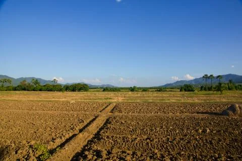 Ground preparation Stock Photos