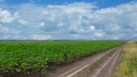 Ground road among a fields time lapse scene Stock Footage 266129462
