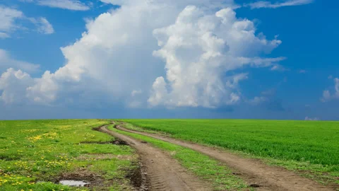 Ground road among green fields under cloudy sky Stock Footage 154046072