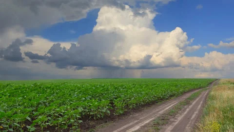 Ground road among green fields, rural time lapse scene Stock-Footage 165350604