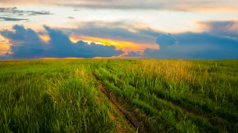 Ground road among green fields under dense cloudy sky Stock Footage 231990855