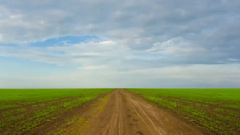 Ground road among green fields Stock-Footage 337652479