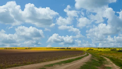 Ground road among rural fields under cloudy sky Vídeo Stock 331428638