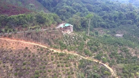 Ground road between coffee plantations and building Stock Footage 100189787