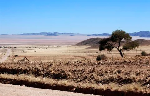 Ground road through the desert Stock Photos