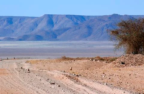Ground road through the desert Stock Photos