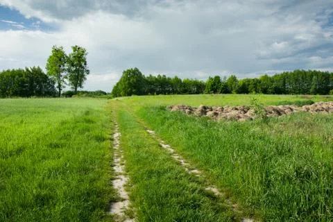 Ground road through green fields, trees and clouds on the sky Stock Photos