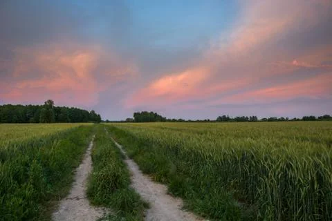 A ground road through green fields, horizon and colorful clouds on a blue sky Stock Photos