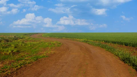 Ground rural road among a fields time lapse scene Vídeos de archivo 172346633