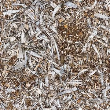 Ground seamless texture with dry gray wood chips Foto stock
