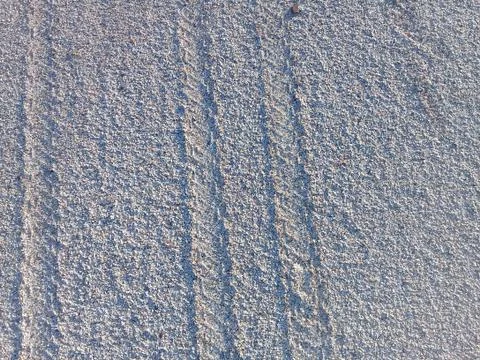 Ground with shells on the beach Stock Photos