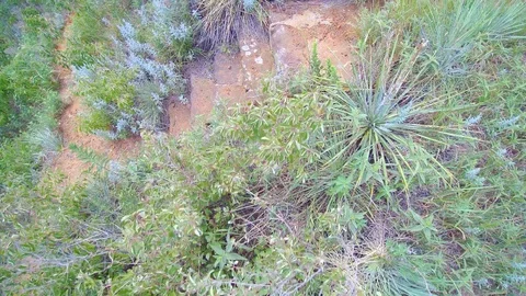 Ground shot Stock Footage 92994552