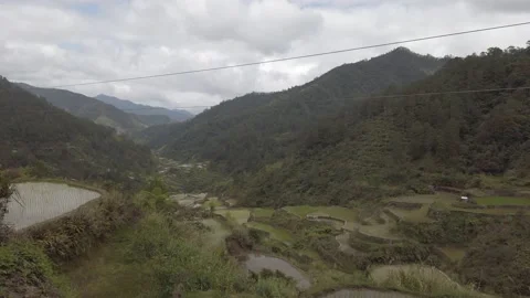 Ground shot of nature in Philippines Stock Footage 204096648