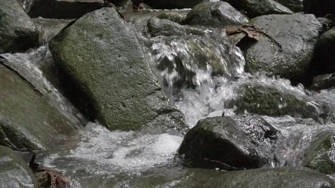 Ground shot of nature in Philippines Stock Footage 204097335