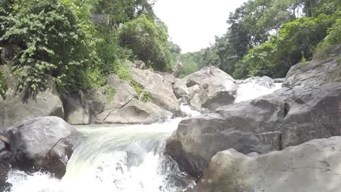 Ground shot of nature in Philippines Stock Footage 204097349