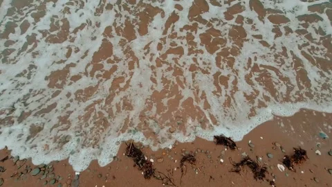 Ground Shot Of Sandy Beach Filled With Shells And Waves Rolling Up On Shore Video stock 255322038