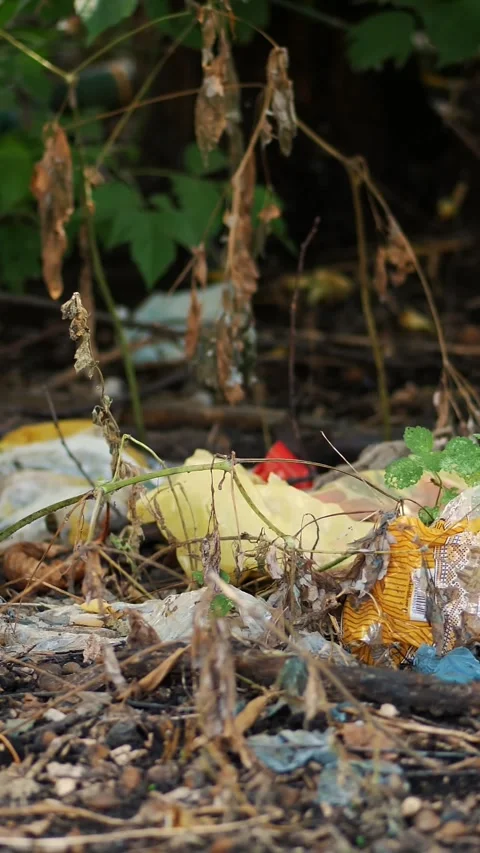 On ground, on side of road, lots of garbage is lying. scattered trash, rubbish, Stock Footage 317846322