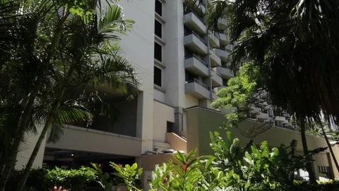 The Ground To The Sky Stock Footage 104789887