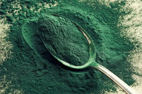 Ground spirulina algae on a spoon Stock Photos