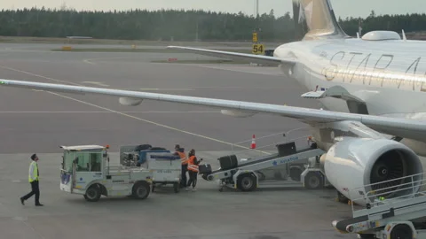 Ground staff loading Star Alliance Lufthansa aircraft cargo for departure Stock Footage 256215498