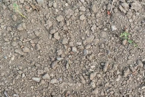 Ground with stones Stock Photos