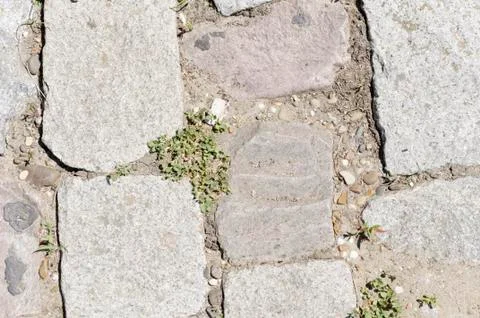 Ground With Stones Texture 2 Stock Photos