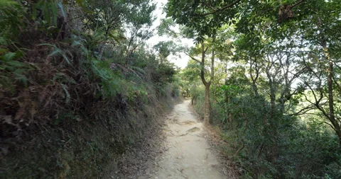 Ground straight path at hill side, POV camera walk forwars, bushes around Video stock 309437055