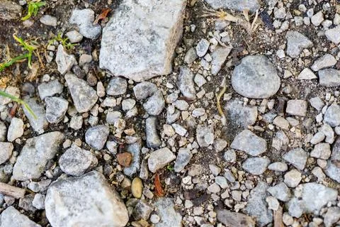 Ground Surface with Assorted Rocks and Small Vegetation Stock Photos
