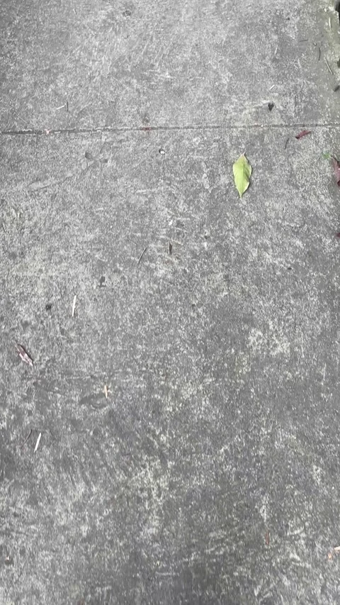 Ground Surface Close Up Walking Footwear in Outdoor Setting Stock Footage 333306943