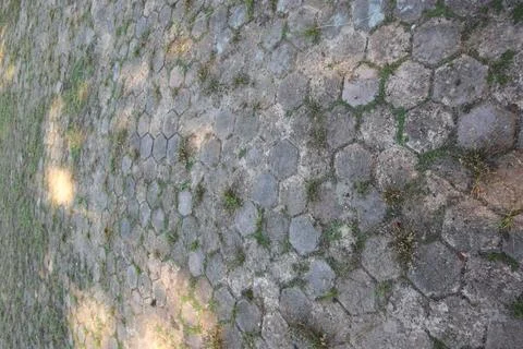Ground surface pattern of interlocking grey hexagonal stones with sparse gr.. Stock Photos