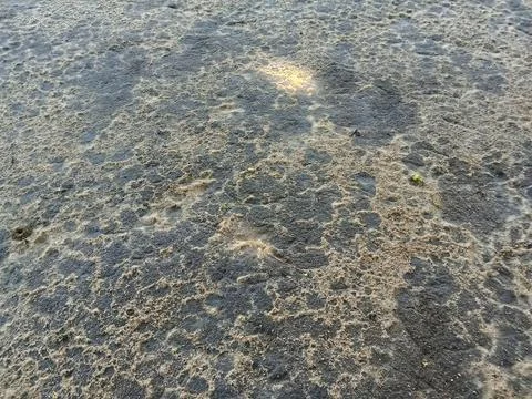 Ground surface with sand  Stock Photos