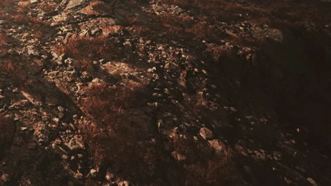 Ground surface with scattered rocks and dry grass in evening light Stock Footage 340023736
